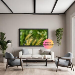Golden Wheat – Nature Photography Wall Art digital download